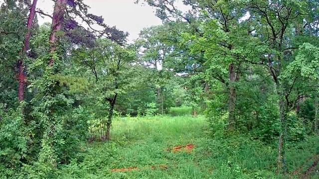 381 Patton School Rd Unit 3, South Pittsburg, TN 37380 - photo 11