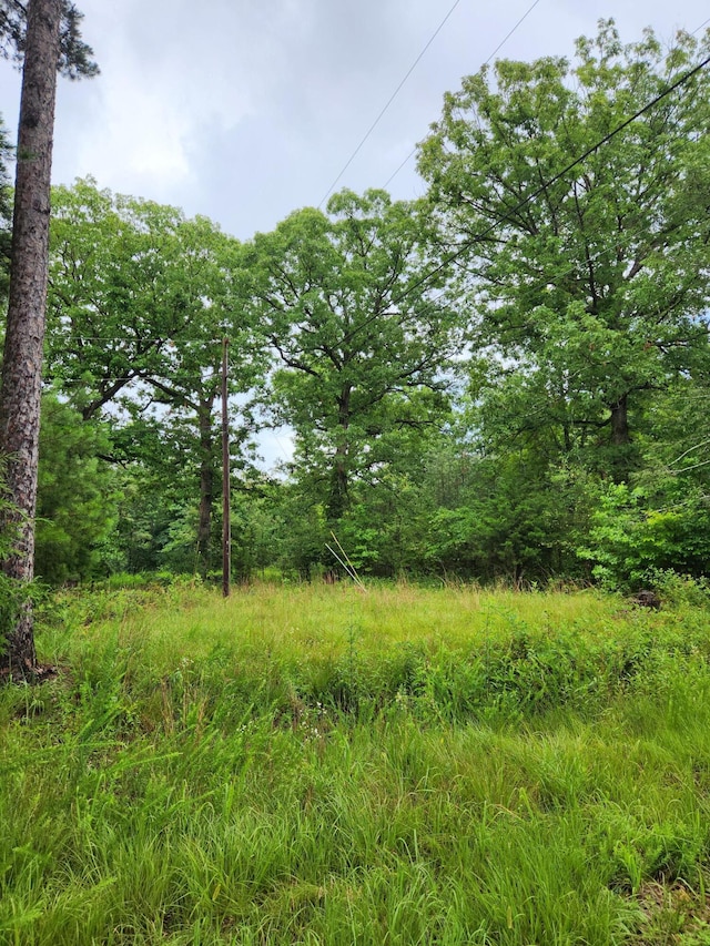 381 Patton School Rd Unit 3, South Pittsburg, TN 37380 - photo 4