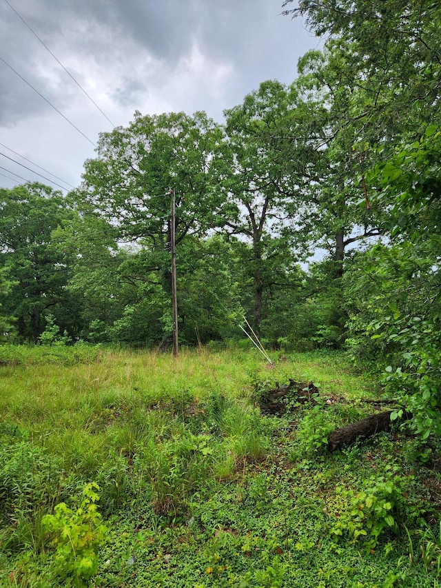 381 Patton School Rd Unit 3, South Pittsburg, TN 37380 - photo 5