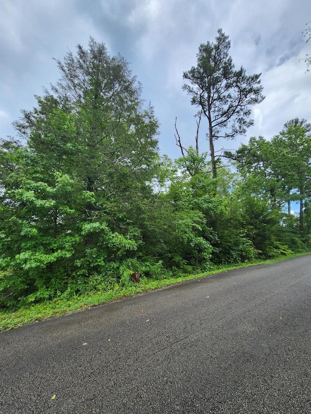 381 Patton School Rd Unit 3, South Pittsburg, TN 37380 - photo 6