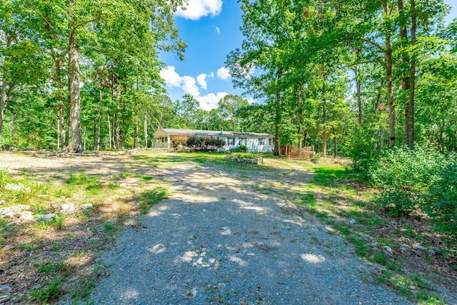 2264 Josh Ward Rd, Summerville, GA 30747 - photo 43