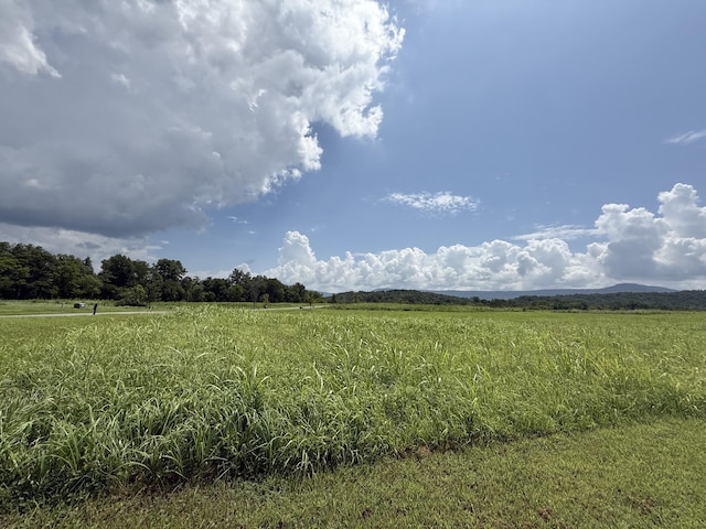 0 River Ridge Drive Unit 24, Dunlap, TN 37327 - photo 3