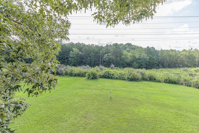 6134 Blue Ash Dr, Ooltewah, TN 37363 - view of green lawn