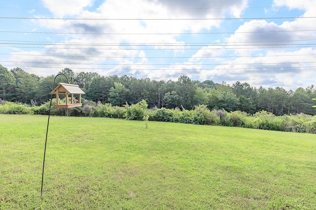 6134 Blue Ash Dr, Ooltewah, TN 37363 - view of grassy yard