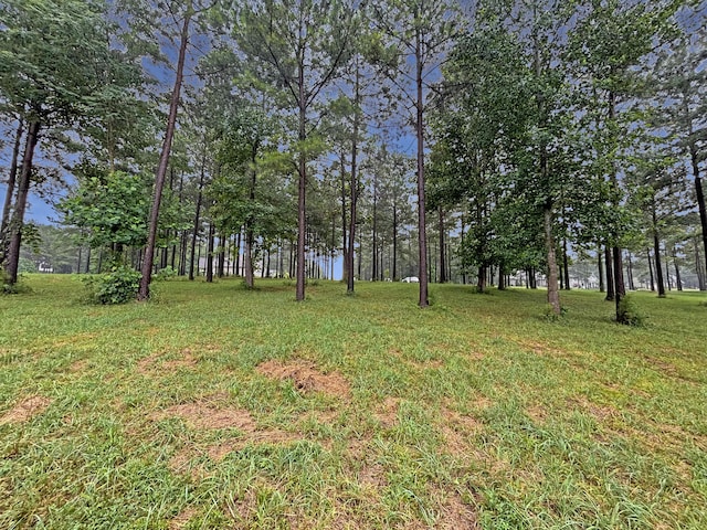 0 Cumberland Cir Unit Sv171, Jasper, TN 37347 - photo 12