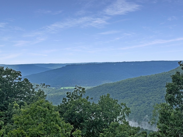 0 Cumberland Cir Unit Sv171, Jasper, TN 37347 - photo 1
