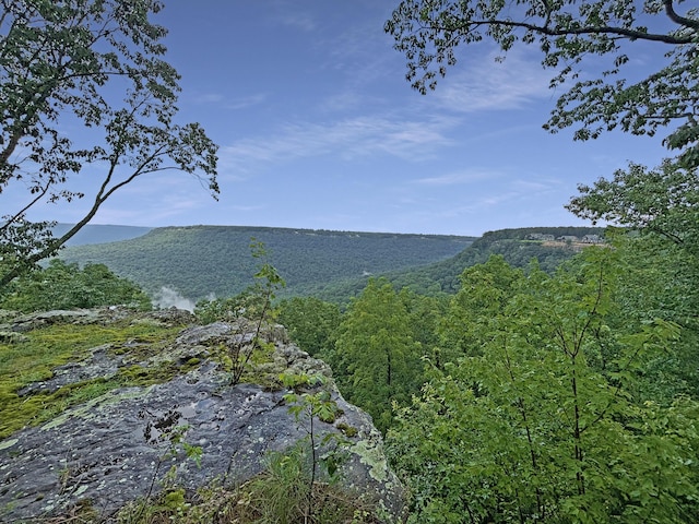 0 Cumberland Cir Unit Sv171, Jasper, TN 37347 - photo 6