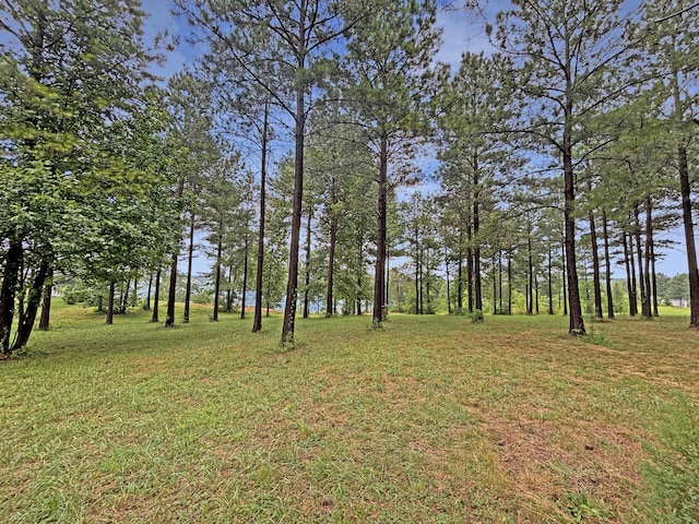 0 Cumberland Cir Unit Sv171, Jasper, TN 37347 - photo 11