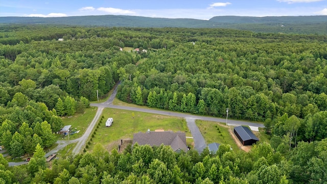 406 Green Brier Ln, Dunlap, TN 37327 - photo 64