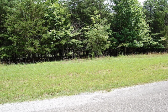 36 Stone Creek Trl, Dunlap, TN 37327 - photo 1