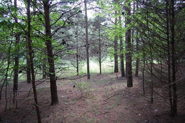 36 Stone Creek Trl, Dunlap, TN 37327 - photo 5