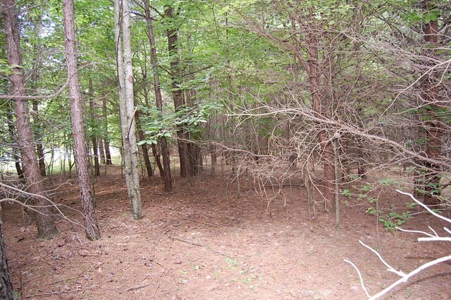 36 Stone Creek Trl, Dunlap, TN 37327 - photo 6