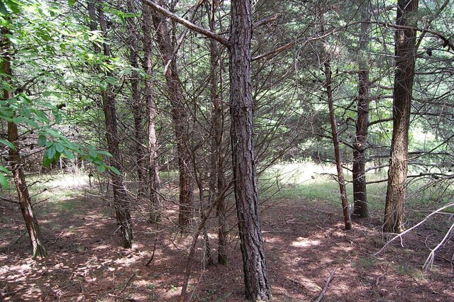 36 Stone Creek Trl, Dunlap, TN 37327 - photo 7