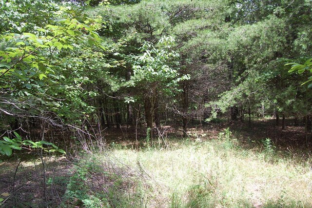 36 Stone Creek Trl, Dunlap, TN 37327 - photo 8