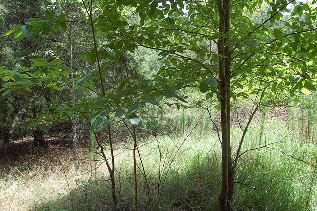 36 Stone Creek Trl, Dunlap, TN 37327 - photo 9