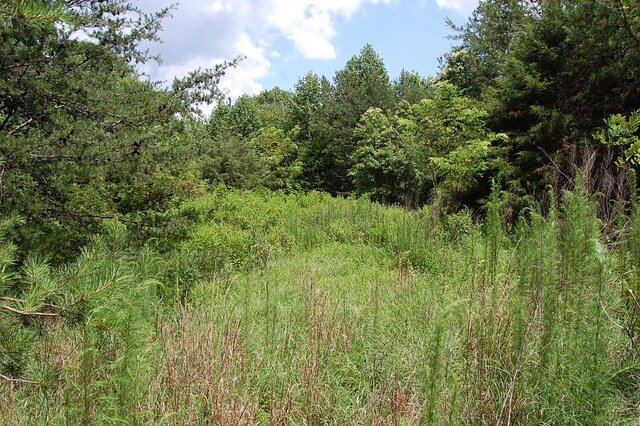 36 Stone Creek Trl, Dunlap, TN 37327 - photo 13