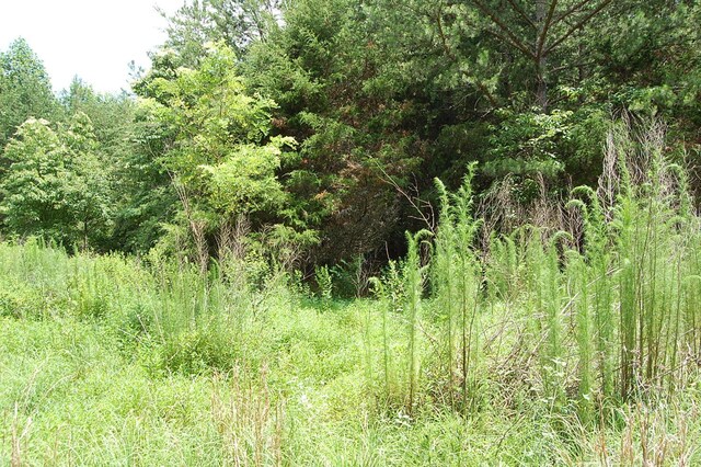 36 Stone Creek Trl, Dunlap, TN 37327 - photo 14