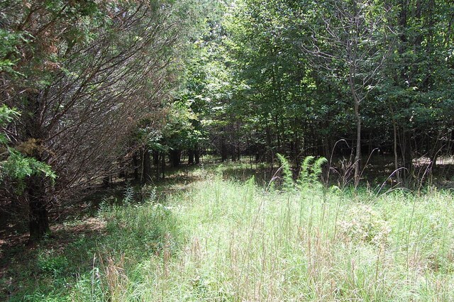 36 Stone Creek Trl, Dunlap, TN 37327 - photo 16