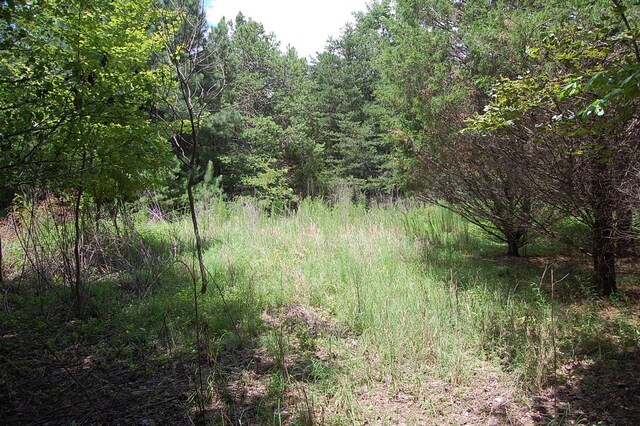 36 Stone Creek Trl, Dunlap, TN 37327 - photo 17