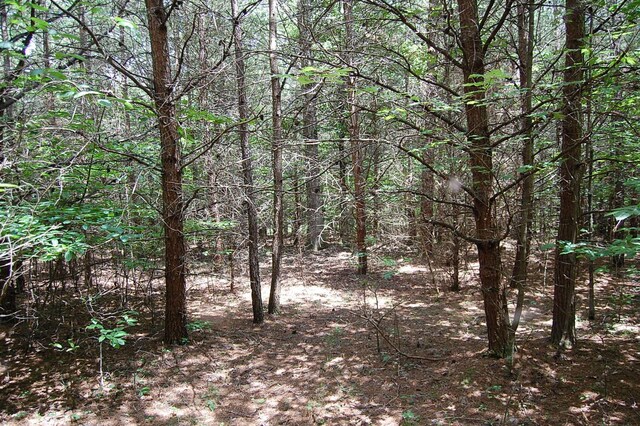 36 Stone Creek Trl, Dunlap, TN 37327 - photo 18