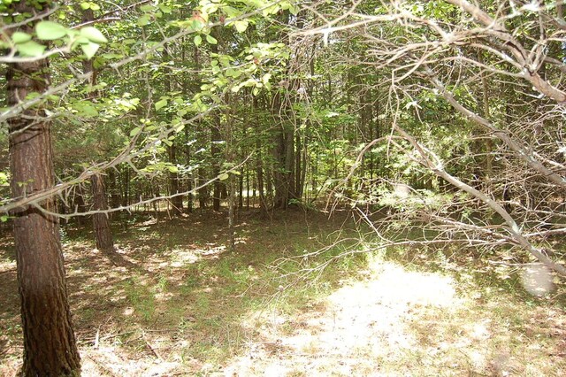 36 Stone Creek Trl, Dunlap, TN 37327 - photo 19