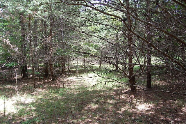 36 Stone Creek Trl, Dunlap, TN 37327 - photo 20