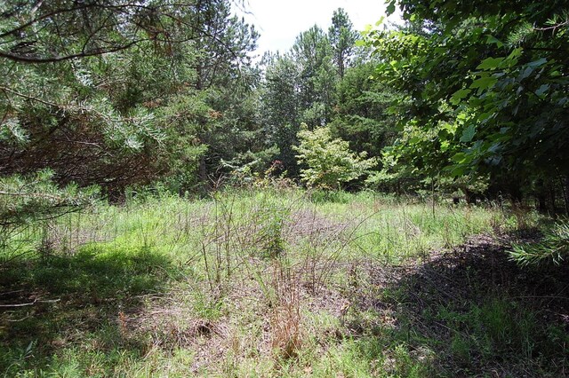 36 Stone Creek Trl, Dunlap, TN 37327 - photo 21