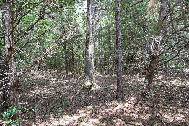 36 Stone Creek Trl, Dunlap, TN 37327 - photo 22