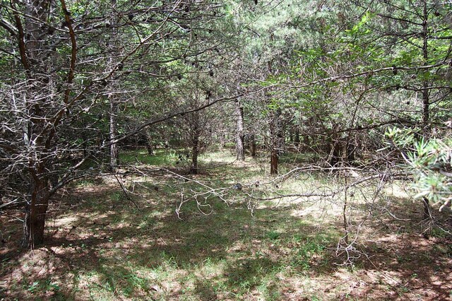 36 Stone Creek Trl, Dunlap, TN 37327 - photo 23