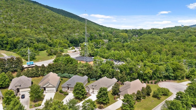 621 Wildflower Cir, Chattanooga, TN 37419 - photo 54