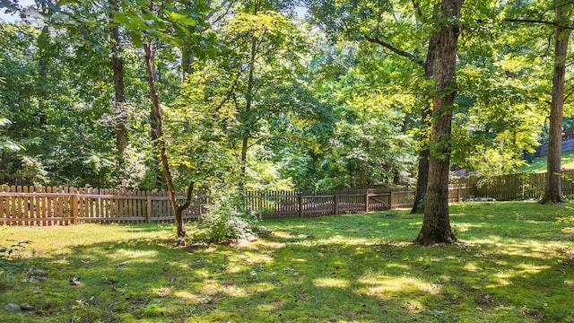 6515 Lake Shadows Cir, Hixson, TN 37343 - view of fenced backyard