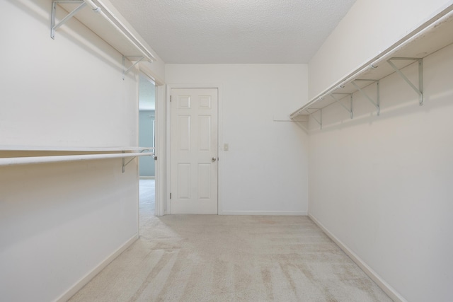 6515 Lake Shadows Cir, Hixson, TN 37343 - spacious closet with carpet floors