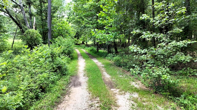 4476 Keith Rd, Ringgold, GA 30736 - photo 8