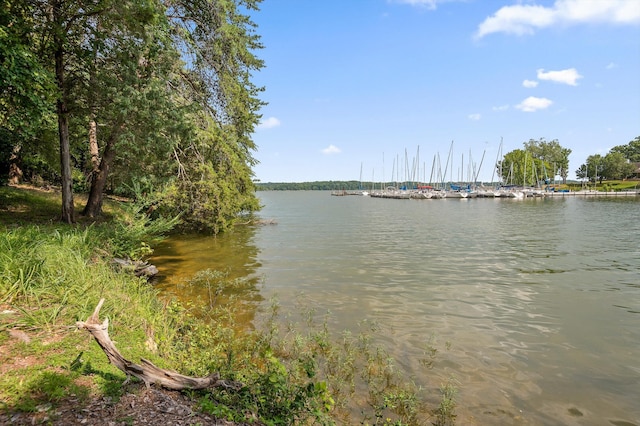 4128 Hamill Rd, Hixson, TN 37343 - water view
