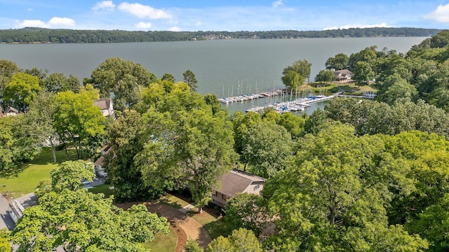4128 Hamill Rd, Hixson, TN 37343 - bird's eye view of a nearby body of water
