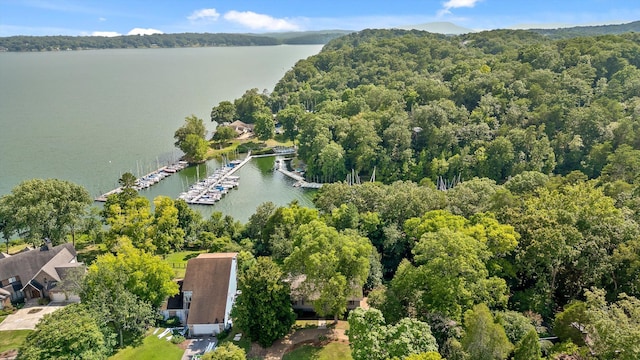 4128 Hamill Rd, Hixson, TN 37343 - aerial view of a large body of water