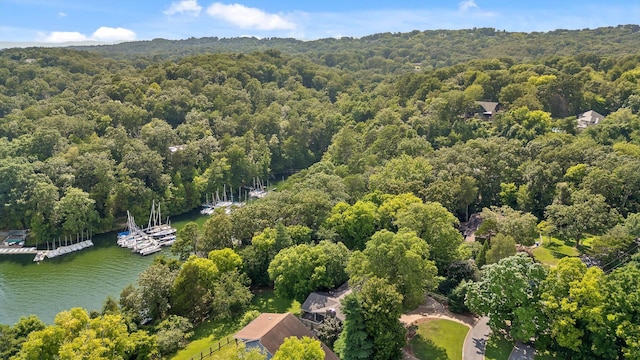 4128 Hamill Rd, Hixson, TN 37343 - bird's eye view of a forest and a large body of water