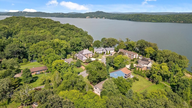 4128 Hamill Rd, Hixson, TN 37343 - aerial view of a nearby body of water