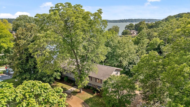4128 Hamill Rd, Hixson, TN 37343 - bird's eye view of a heavily wooded area