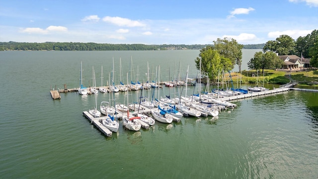 4128 Hamill Rd, Hixson, TN 37343 - water view with a floating dock and a marina