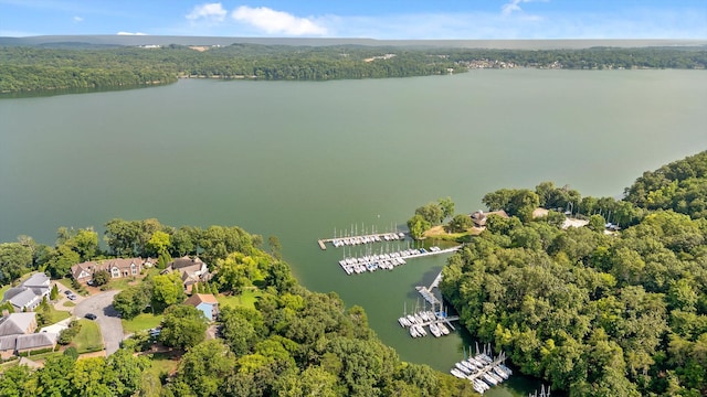 4128 Hamill Rd, Hixson, TN 37343 - aerial view of a nearby body of water and numerous boat docks