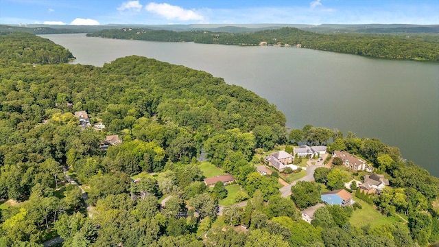 4128 Hamill Rd, Hixson, TN 37343 - aerial overview of property's location with a nearby body of water