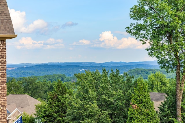 1609 Capanna Trl, Hixson, TN 37343 - photo 2