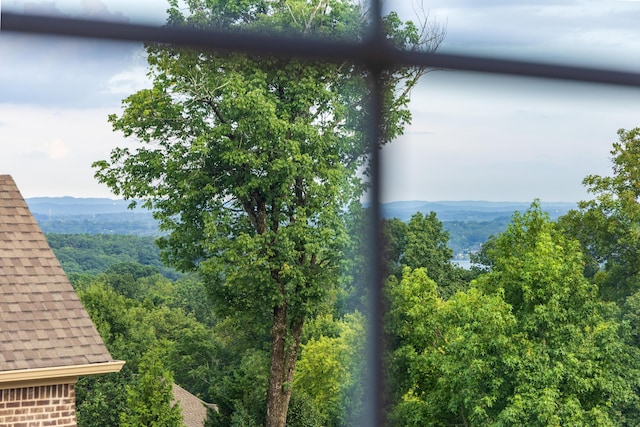 1609 Capanna Trl, Hixson, TN 37343 - photo 29
