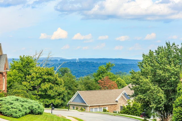 1609 Capanna Trl, Hixson, TN 37343 - photo 4