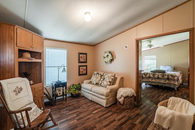 63 Applewood Ln, Chatsworth, GA 30705 - sitting room with lofted ceiling, dark wood-style flooring, ornamental molding, and a textured ceiling