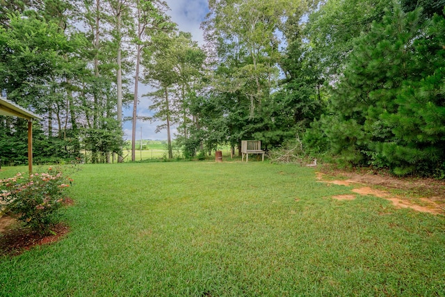 63 Applewood Ln, Chatsworth, GA 30705 - view of grassy yard