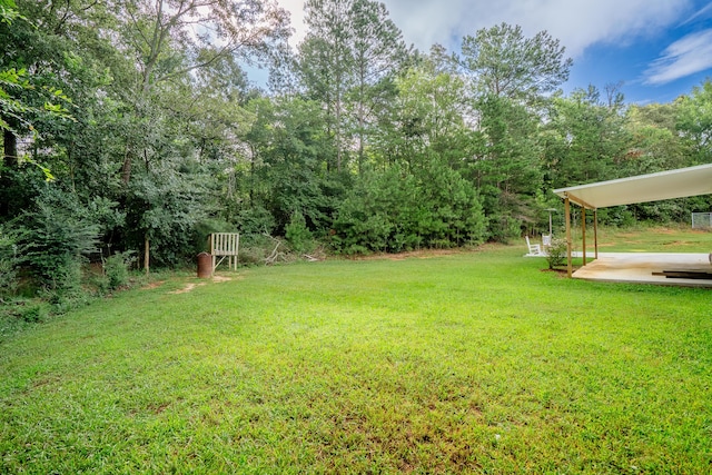 63 Applewood Ln, Chatsworth, GA 30705 - view of grassy yard with a patio