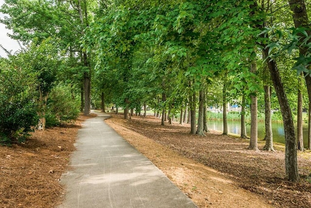 601 Black Oak Dr Unit 118, Dalton, GA 30721 - surrounding community featuring a water view