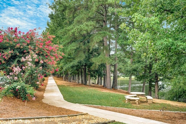 601 Black Oak Dr Unit 118, Dalton, GA 30721 - surrounding community with a lawn